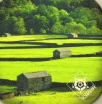 Coaster - Yorkshire