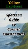 Yellow Explorers Spotter's Guide to Cornish Coastal Birds