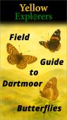 Yellow Explorers Field Guide to Dartmoor Butterflies 