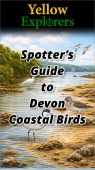 Yellow Explorers Spotter's Guide to Devon Coastal Birds