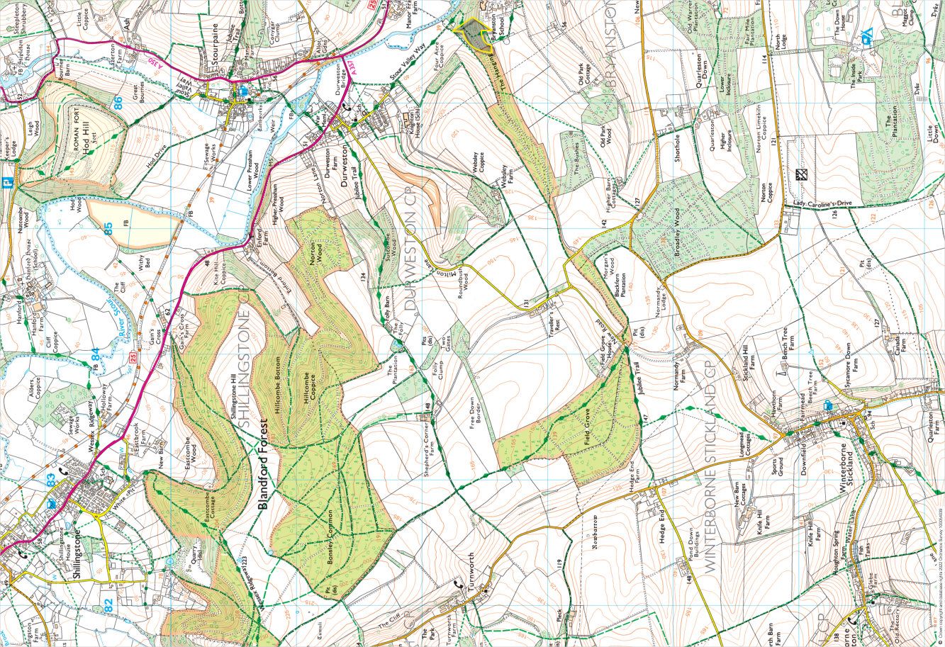 Around & About Blandford Forum & Blandford Forest
