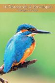 Kingfishers Notecards NW003
