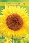 Sunflowers Notecards NW005