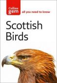 Scottish Birds Gem