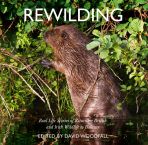 Rewilding: Real Stories of Returning British Wildlife to Balance