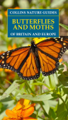 CNG Butterflies & Moths