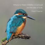 Pocket Cornwall:Where to Watch Wildlife