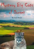 Mystery Big Cats of Dorset