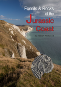 Fossils and Rocks of the Jurassic Coast