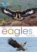 RSPB Spotlight: Eagles