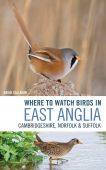 Where To Watch Birds in East Anglia 