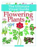 The Ultimate Visual Guide- Flowering Plants