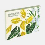 Wild Leaf Notecard Collection