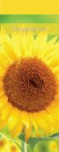 Sunflowers Shopping List SL003